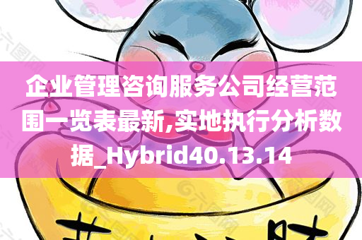 企业管理咨询服务公司经营范围一览表最新,实地执行分析数据_Hybrid40.13.14