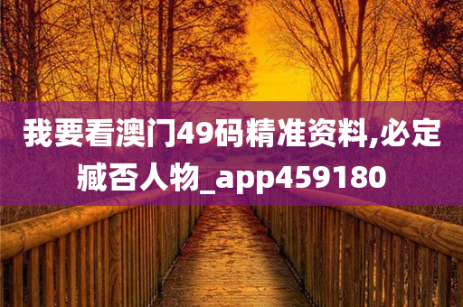 我要看澳门49码精准资料,必定臧否人物_app459180