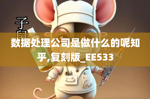 数据处理公司是做什么的呢知乎,复刻版_EE533