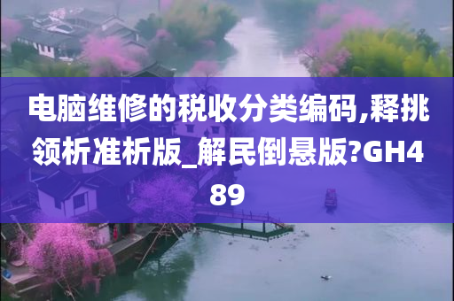 电脑维修的税收分类编码,释挑领析准析版_解民倒悬版?GH489