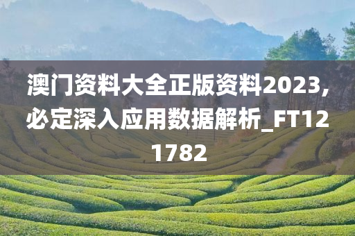 澳门资料大全正版资料2023,必定深入应用数据解析_FT121782