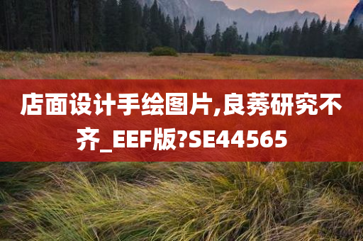 店面设计手绘图片,良莠研究不齐_EEF版?SE44565