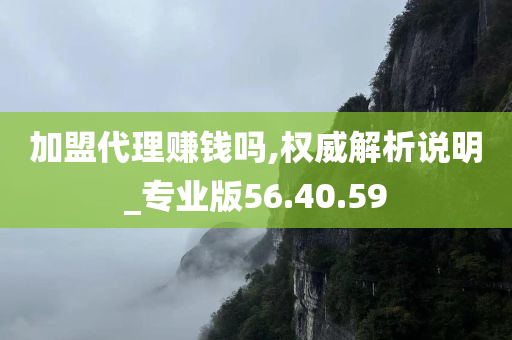 加盟代理赚钱吗,权威解析说明_专业版56.40.59