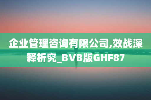 企业管理咨询有限公司,效战深释析究_BVB版GHF87