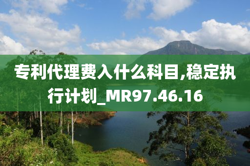 专利代理费入什么科目,稳定执行计划_MR97.46.16