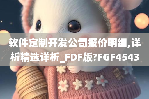 软件定制开发公司报价明细,详析精选详析_FDF版?FGF4543