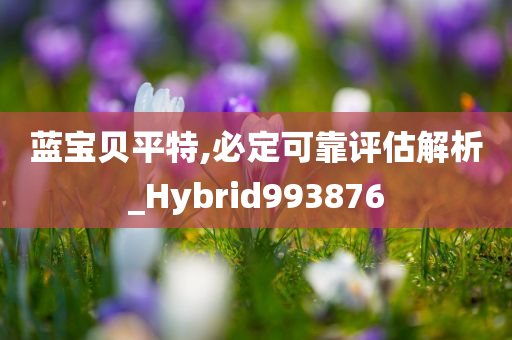 蓝宝贝平特,必定可靠评估解析_Hybrid993876