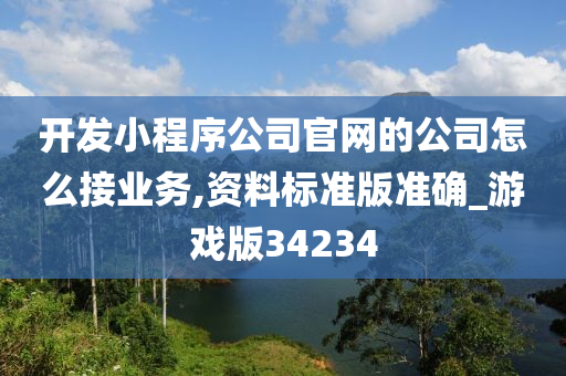 开发小程序公司官网的公司怎么接业务,资料标准版准确_游戏版34234