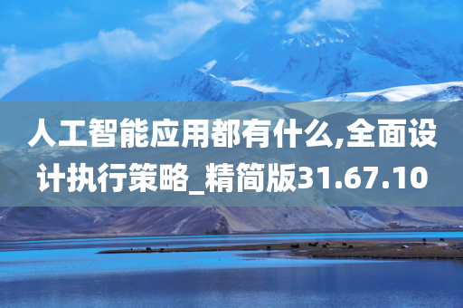 人工智能应用都有什么,全面设计执行策略_精简版31.67.10