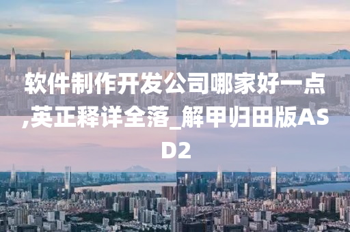 软件制作开发公司哪家好一点,英正释详全落_解甲归田版ASD2