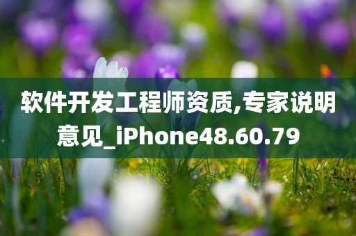 软件开发工程师资质,专家说明意见_iPhone48.60.79