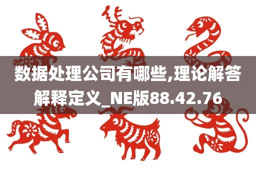 数据处理公司有哪些,理论解答解释定义_NE版88.42.76