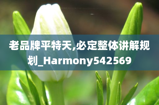 老品牌平特天,必定整体讲解规划_Harmony542569