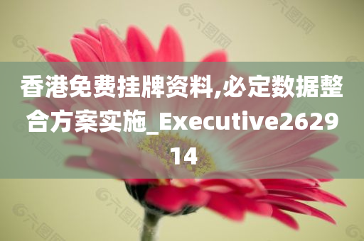 香港免费挂牌资料,必定数据整合方案实施_Executive262914