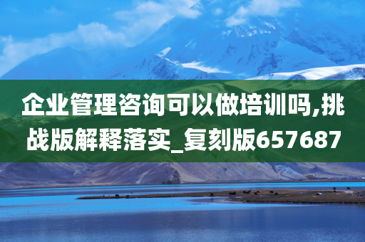 企业管理咨询可以做培训吗,挑战版解释落实_复刻版657687