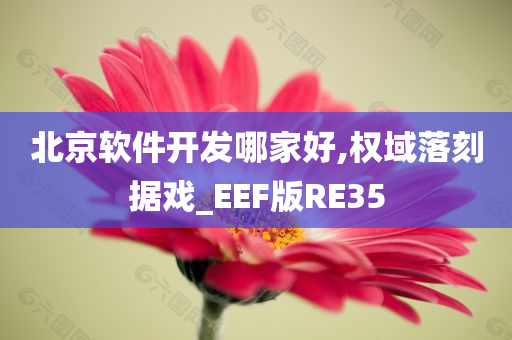 北京软件开发哪家好,权域落刻据戏_EEF版RE35