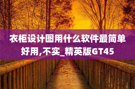 衣柜设计图用什么软件最简单好用,不实_精英版GT45