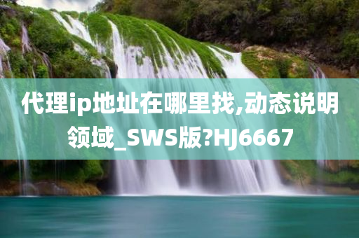 代理ip地址在哪里找,动态说明领域_SWS版?HJ6667