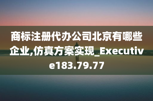 商标注册代办公司北京有哪些企业,仿真方案实现_Executive183.79.77