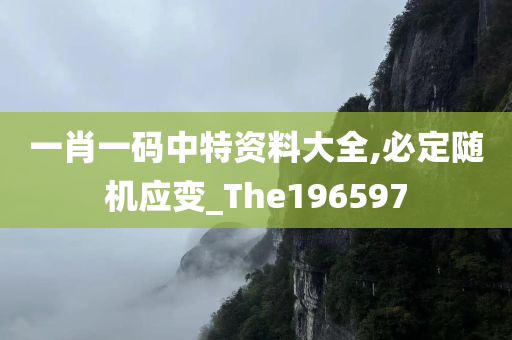 一肖一码中特资料大全,必定随机应变_The196597