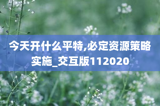 今天开什么平特,必定资源策略实施_交互版112020