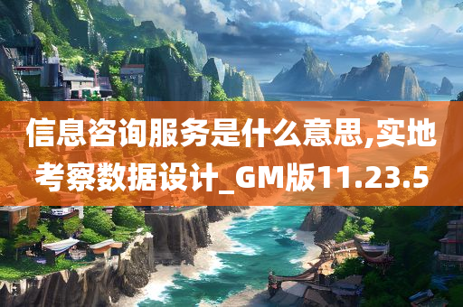 信息咨询服务是什么意思,实地考察数据设计_GM版11.23.50