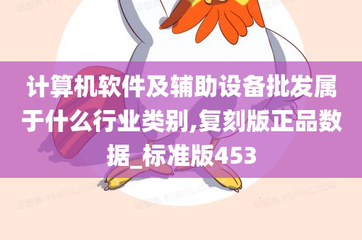 计算机软件及辅助设备批发属于什么行业类别,复刻版正品数据_标准版453