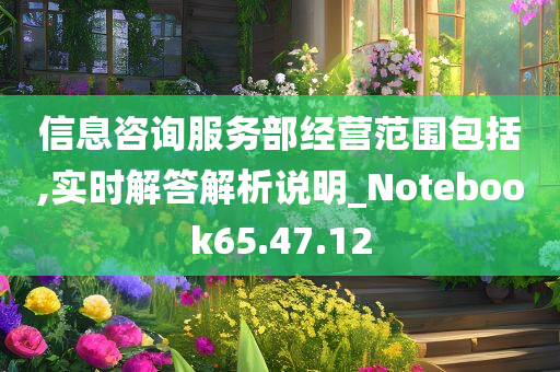 信息咨询服务部经营范围包括,实时解答解析说明_Notebook65.47.12