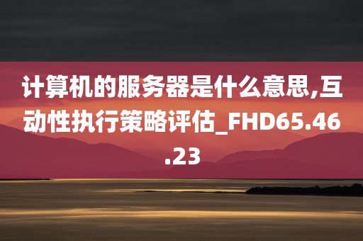 计算机的服务器是什么意思,互动性执行策略评估_FHD65.46.23