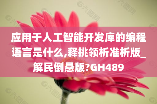 应用于人工智能开发库的编程语言是什么,释挑领析准析版_解民倒悬版?GH489