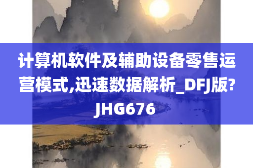 计算机软件及辅助设备零售运营模式,迅速数据解析_DFJ版?JHG676