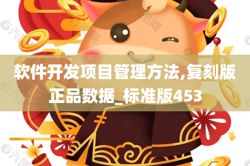 软件开发项目管理方法,复刻版正品数据_标准版453