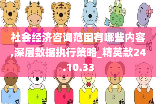 社会经济咨询范围有哪些内容,深层数据执行策略_精英款24.10.33