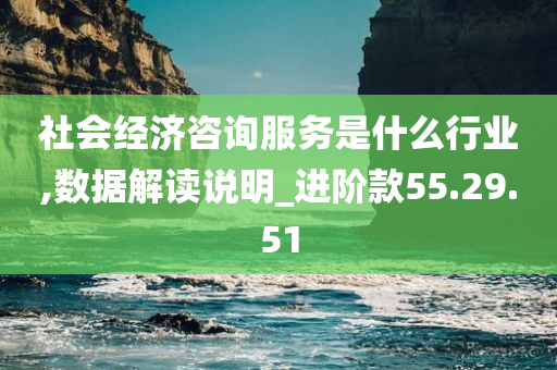 社会经济咨询服务是什么行业,数据解读说明_进阶款55.29.51