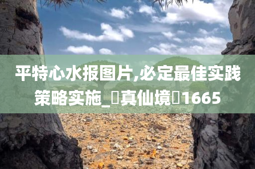 平特心水报图片,必定最佳实践策略实施_‌真仙境‌1665