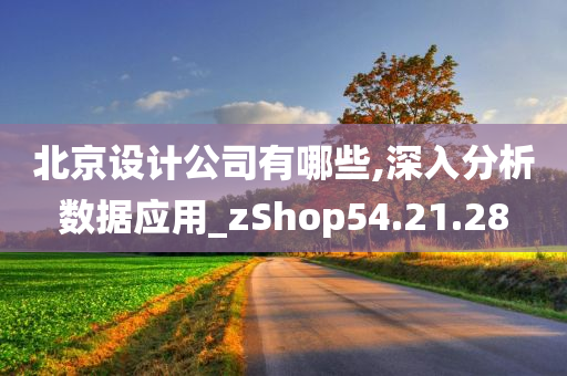 北京设计公司有哪些,深入分析数据应用_zShop54.21.28