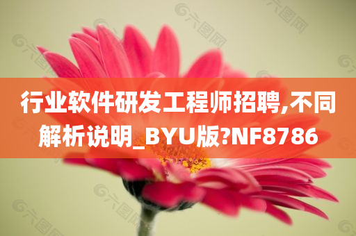 行业软件研发工程师招聘,不同解析说明_BYU版?NF8786