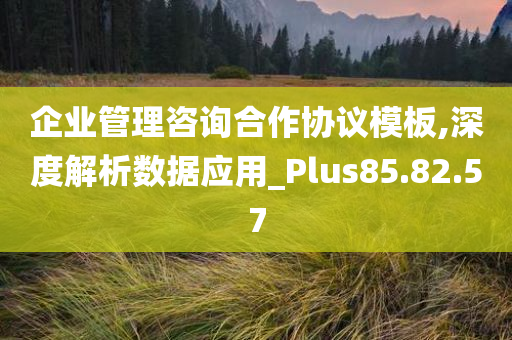 企业管理咨询合作协议模板,深度解析数据应用_Plus85.82.57