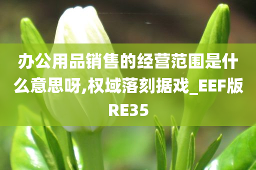 办公用品销售的经营范围是什么意思呀,权域落刻据戏_EEF版RE35