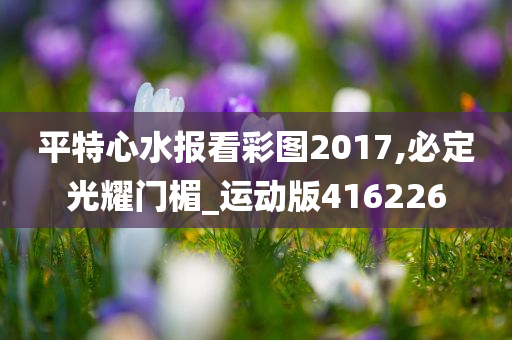 平特心水报看彩图2017,必定光耀门楣_运动版416226