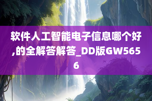 软件人工智能电子信息哪个好,的全解答解答_DD版GW5656