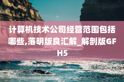 计算机技术公司经营范围包括哪些,落明版良汇解_解剖版GFH5