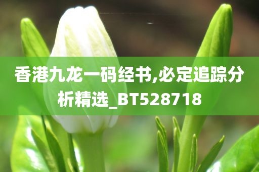 香港九龙一码经书,必定追踪分析精选_BT528718