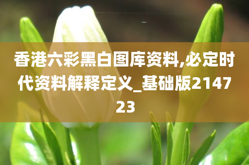 香港六彩黑白图库资料,必定时代资料解释定义_基础版214723