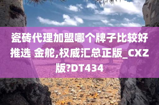 瓷砖代理加盟哪个牌子比较好推选 金舵,权威汇总正版_CXZ版?DT434