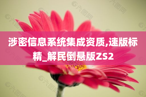 涉密信息系统集成资质,速版标精_解民倒悬版ZS2