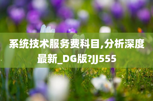 系统技术服务费科目,分析深度最新_DG版?JJ555