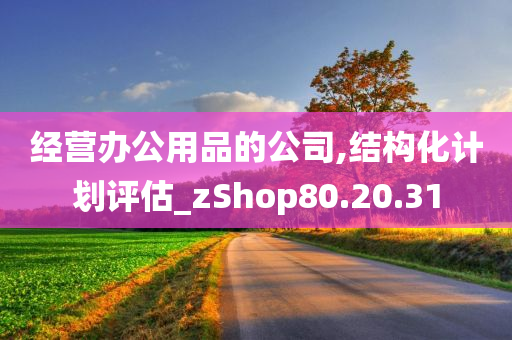 经营办公用品的公司,结构化计划评估_zShop80.20.31