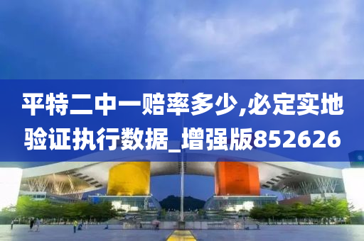 平特二中一赔率多少,必定实地验证执行数据_增强版852626