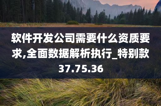 软件开发公司需要什么资质要求,全面数据解析执行_特别款37.75.36